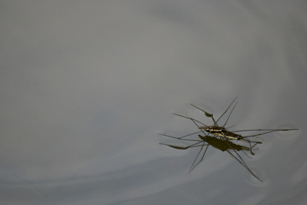 f:id:goldhead:20100816125308j:image f:id:goldhead:20100816125308j:image