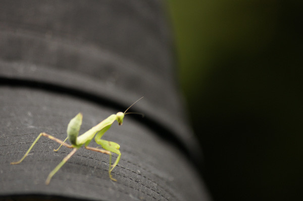 f:id:goldhead:20100816125313j:image f:id:goldhead:20100816125313j:image