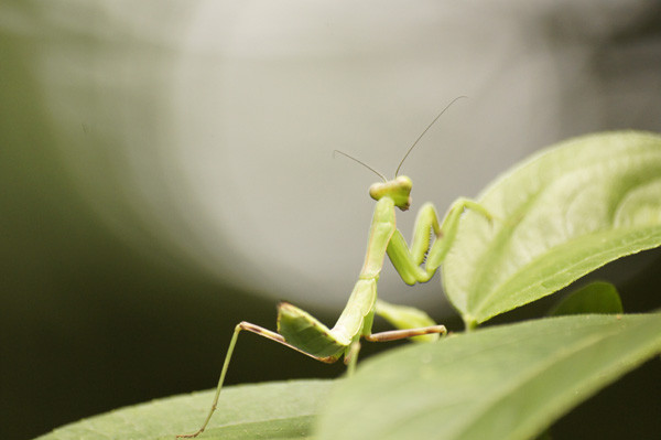 f:id:goldhead:20100816125314j:image f:id:goldhead:20100816125314j:image