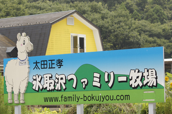 f:id:goldhead:20100816125319j:image f:id:goldhead:20100816125319j:image
