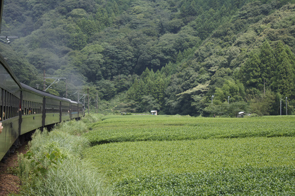 f:id:goldhead:20100823125121j:image