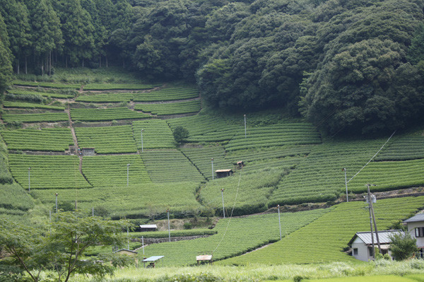 f:id:goldhead:20100823125245j:image