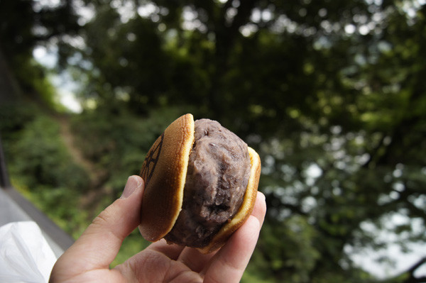 f:id:goldhead:20100823125458j:image