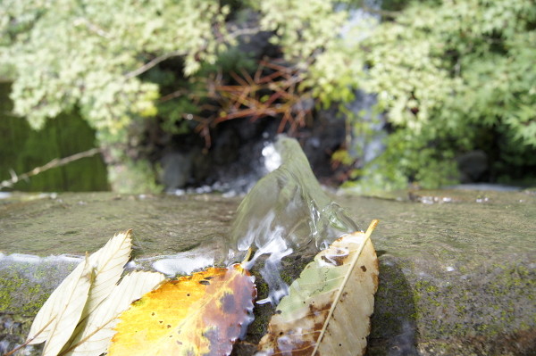 f:id:goldhead:20100825005214j:image f:id:goldhead:20100825005214j:image