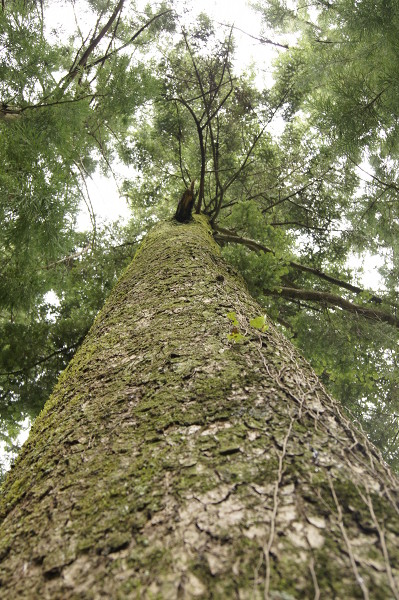 f:id:goldhead:20100825005215j:image f:id:goldhead:20100825005215j:image