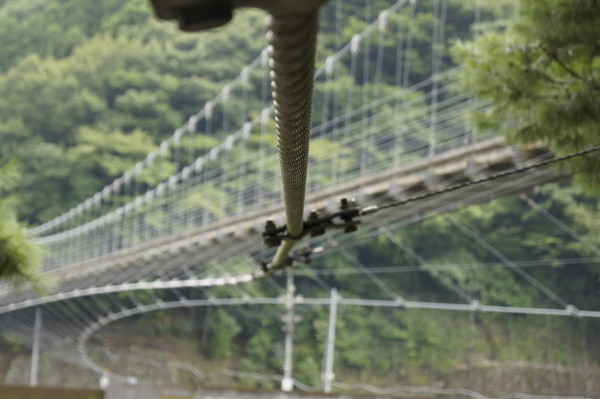 f:id:goldhead:20100825005217j:image f:id:goldhead:20100825005217j:image