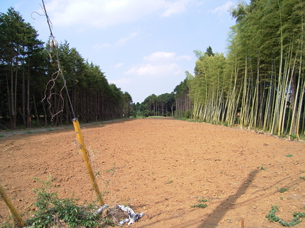 f:id:goldhead:20100905112651j:image f:id:goldhead:20100905112651j:image