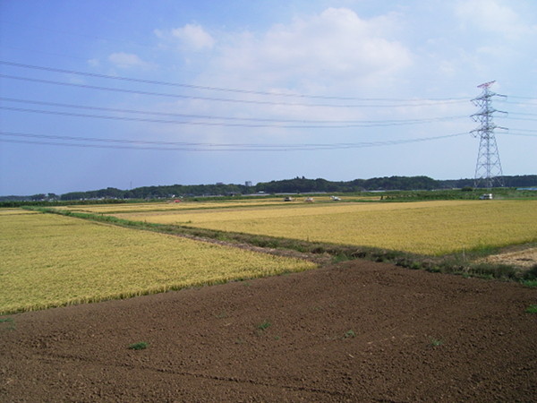 f:id:goldhead:20100905112656j:image f:id:goldhead:20100905112656j:image