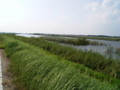 20100905112658
