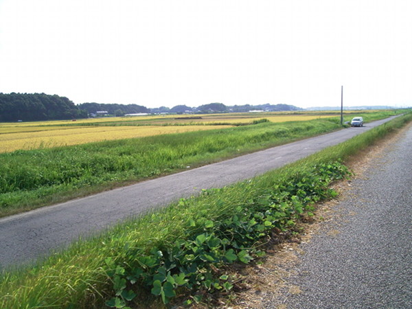 f:id:goldhead:20100905112659j:image f:id:goldhead:20100905112659j:image