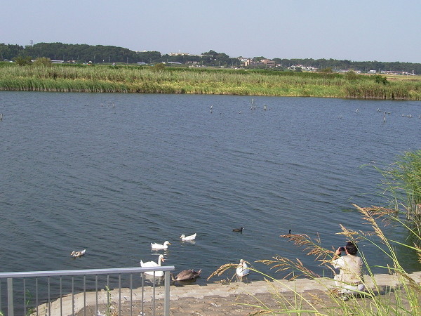 f:id:goldhead:20100905112700j:image f:id:goldhead:20100905112700j:image