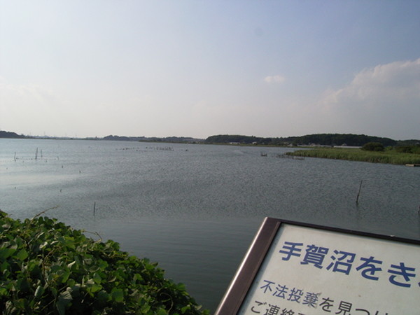 f:id:goldhead:20100905112701j:image f:id:goldhead:20100905112701j:image