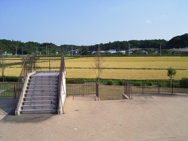 f:id:goldhead:20100905112703j:image f:id:goldhead:20100905112703j:image