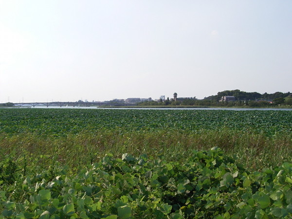 f:id:goldhead:20100905112704j:image f:id:goldhead:20100905112704j:image