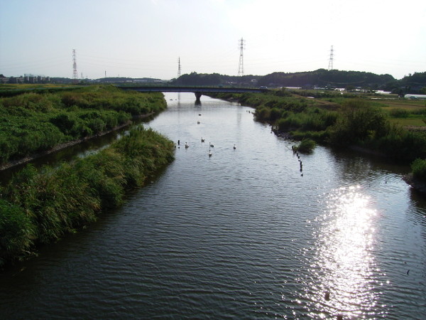 f:id:goldhead:20100905115156j:image f:id:goldhead:20100905115156j:image
