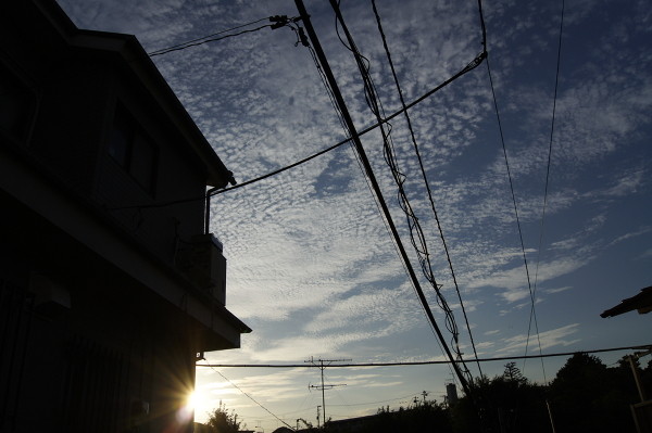 f:id:goldhead:20100909233801j:image