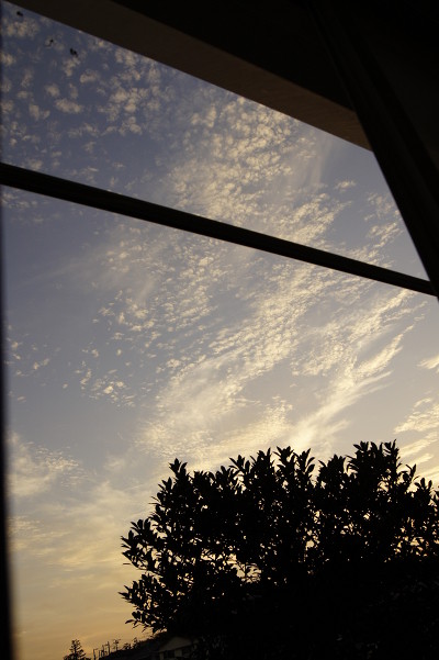f:id:goldhead:20100909233802j:image