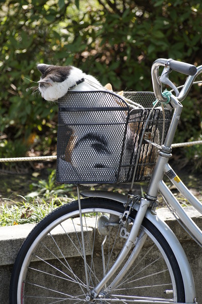 f:id:goldhead:20100921083510j:image:left