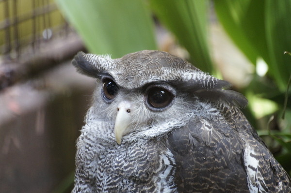 f:id:goldhead:20100921083511j:image f:id:goldhead:20100921083511j:image