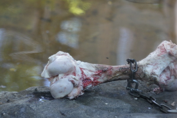 f:id:goldhead:20100921083512j:image f:id:goldhead:20100921083512j:image