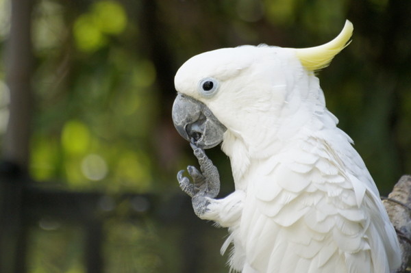 f:id:goldhead:20100921083514j:image f:id:goldhead:20100921083514j:image