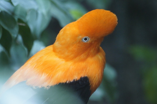 f:id:goldhead:20100921083515j:image f:id:goldhead:20100921083515j:image