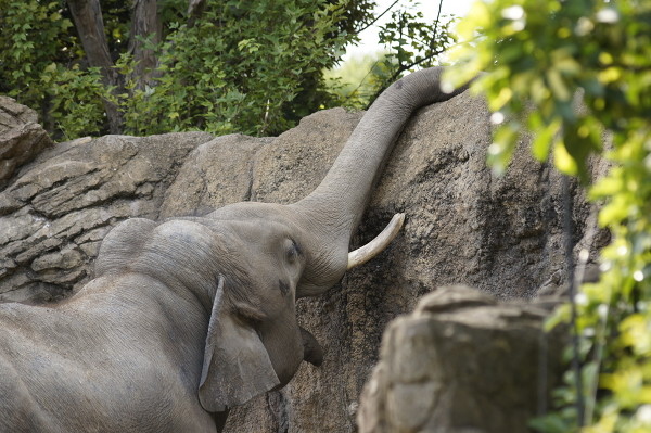 f:id:goldhead:20100921083520j:image f:id:goldhead:20100921083520j:image