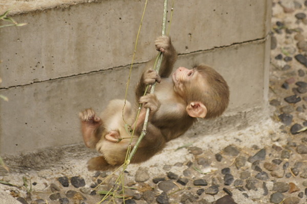 f:id:goldhead:20100921083522j:image f:id:goldhead:20100921083522j:image