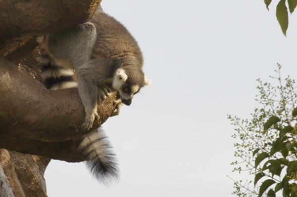 f:id:goldhead:20100921083524j:image f:id:goldhead:20100921083524j:image