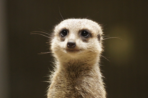 f:id:goldhead:20100921083525j:image f:id:goldhead:20100921083525j:image