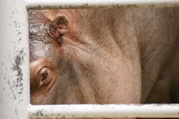 f:id:goldhead:20100921083527j:image f:id:goldhead:20100921083527j:image