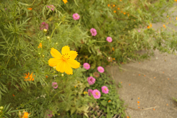 f:id:goldhead:20100922125944j:image