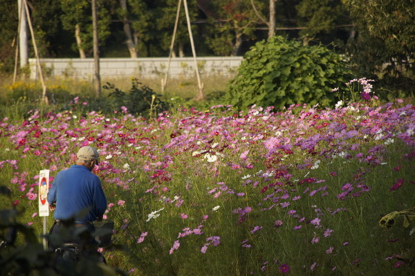 f:id:goldhead:20101018014542j:image f:id:goldhead:20101018014542j:image