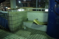 20101021010118