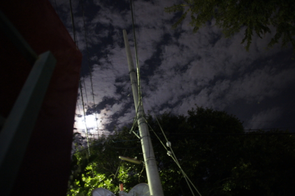 f:id:goldhead:20101024014046j:image