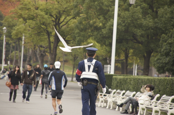 f:id:goldhead:20101114202817j:image
