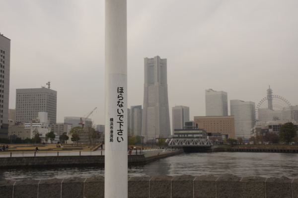 f:id:goldhead:20101114202825j:image
