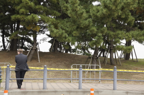 f:id:goldhead:20101114202831j:image