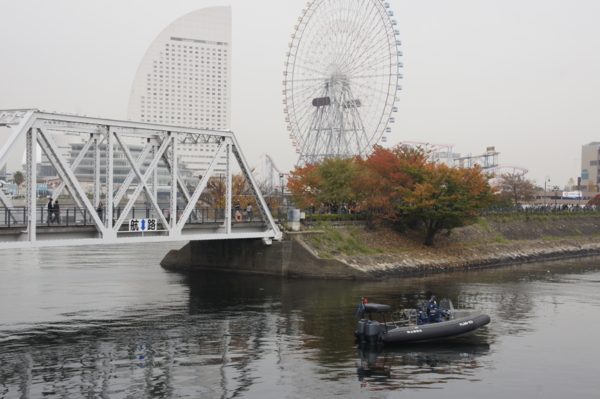 f:id:goldhead:20101114202834j:image
