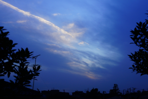 f:id:goldhead:20101114202843j:image