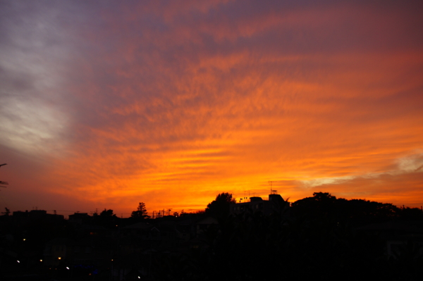 f:id:goldhead:20101114202844j:image