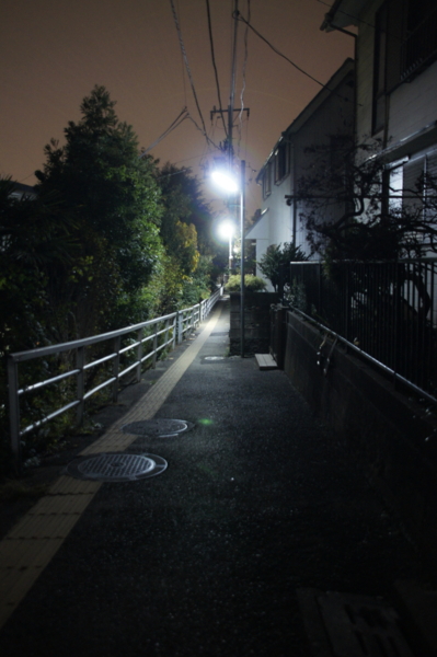 f:id:goldhead:20101115230723j:image