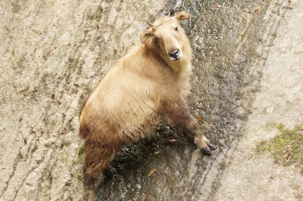 f:id:goldhead:20101122132529j:image f:id:goldhead:20101122132529j:image