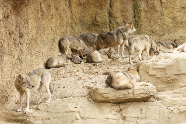 f:id:goldhead:20101122132533j:image f:id:goldhead:20101122132533j:image