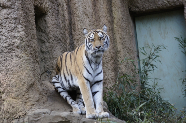 f:id:goldhead:20101122132539j:image f:id:goldhead:20101122132539j:image