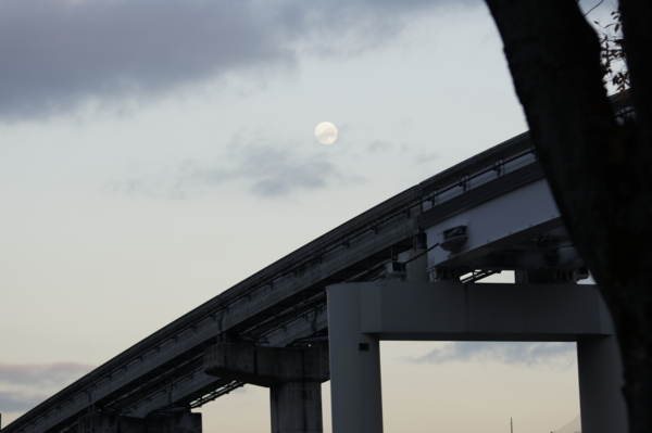 f:id:goldhead:20101122132547j:image f:id:goldhead:20101122132547j:image