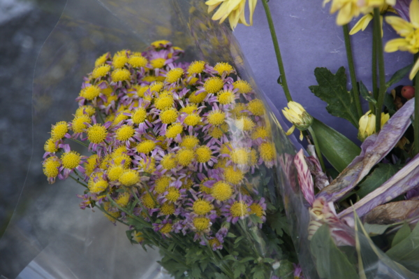 f:id:goldhead:20101127235251j:image