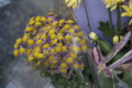 20101127235251