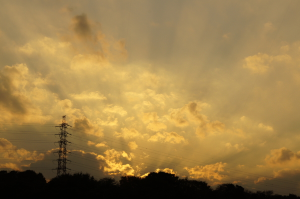 f:id:goldhead:20101127235303j:image