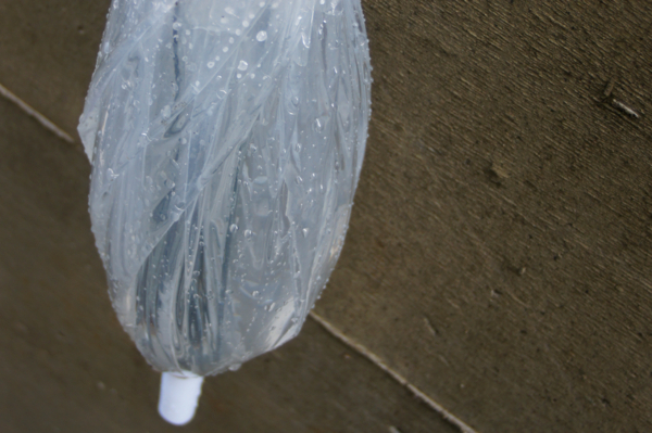 f:id:goldhead:20101203125620j:image